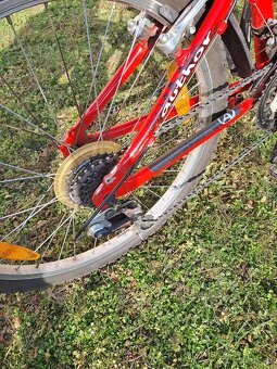 Kolo Author Matrix vel. 24 - 4