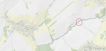 Prodám lesní pozemky v k.ú. Petřkovice u Starého Jičína - 4