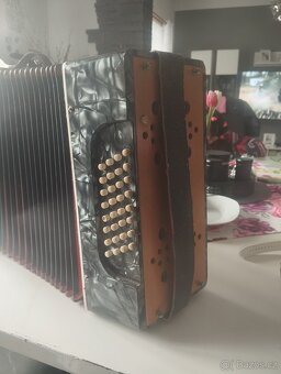 Harmonika akordeon - 4