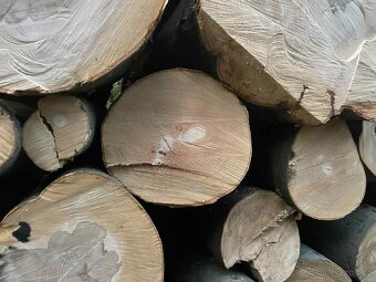 🔥 Palivové dřevo – měkké od 900 Kč, bříza, tvrdé 🔥 - 4