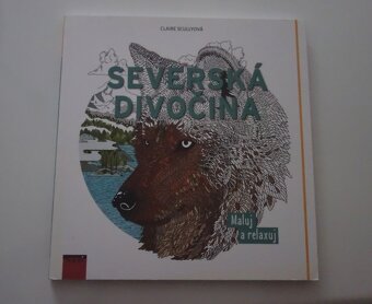 Relaxační omalovánky, několik kusů + pastelky - 4