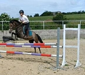 valášek pony B pro náročné - 4