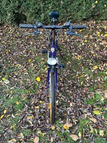 Kolo Winora Melose - 4