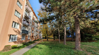 Byt 3+1, 63 m2 v Olomouci, Kmochova ulice - 4