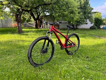 Commencal Absolut - 4