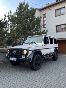 Mercedes Benz G 300 cdi Professional - 4