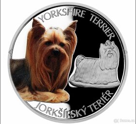 Stříbrná mince Psí plemena - Jorkšírský teriér proof - 4