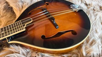 Mandolina Sigma Guitars SMA-1 - 4