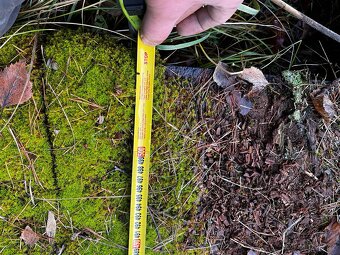 korba, kontejner - 4