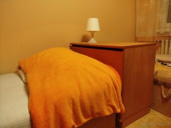 Peřiňák/peřináč dýha - 4