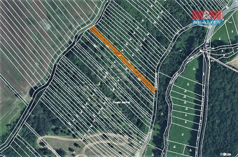 Prodej louky, 1586 m², Březolupy - 4