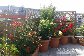 Byt 4+kk o ploše 113 m2 - Praha, Pitkovice - 4