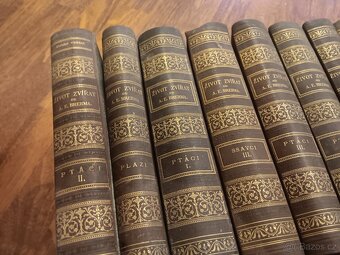 Brehm, život zvířat - 4