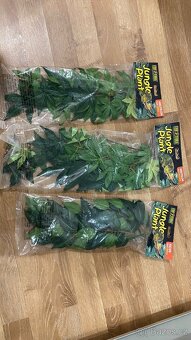 Terárium + vybavení - 4