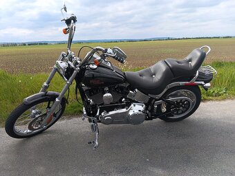 HARLEY DAVIDSON FXSTC softail custom - 4
