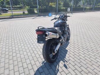 Honda Hornet 600 - 4