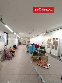 Pronájem komerčních prostor v centru Napajedel - 4