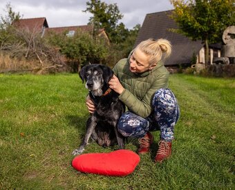 SID - 32 kg, kastrovaný psík 12 let - 4