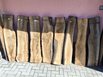 OŘECHOVÉ FOŠNY 55mm, různé délky a šířky. - 4