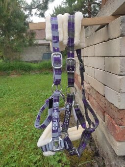 Fialové ohlávky s beránkem full a vodítko - 4