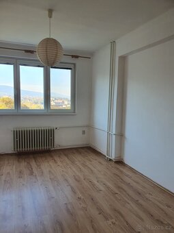 Prodej bytu 1+1 po rekonstrukci, OV, Liberec - 4