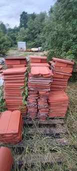 Terran Rundo Evo - 4