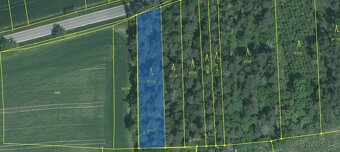 Prodám lesní pozemky v k.ú. Hradiště u Domažlic - 4