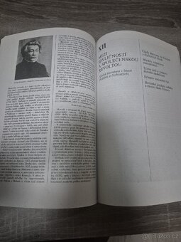 Přehledné dějiny literatury - 4