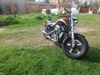 Harley davidson XL1200CA Custom jen 14t. Km. - 4