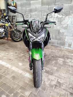 Kawasaki Z 300 - 4
