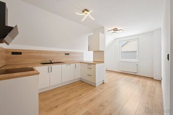 LUXUSNÍ byt Čebín 3kk 158m2 ( vč. zahrada, kuchyň, parking) - 4