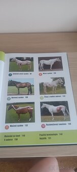 Kniha Pohyb a výkon koně ANATOMIE – G. Higgins, S. Martin - 4