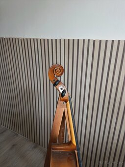 Violoncello - 4