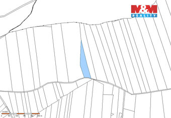 Prodej lesa, 7736 m², Jetětice - 4