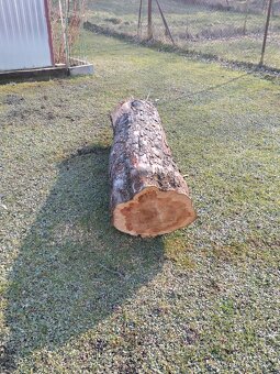 Prodej dřeva na uzení - 4