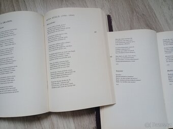 Antológia sovietskej poézie XX. storočia, 2 svazky, 1981 - 4