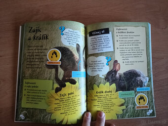 Svět přírody pro zvídavé kluky a holky - 4