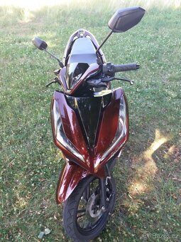 Skutr Apollon Wildcat 125 cm, rok 2024 - 4