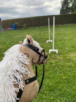 Hobby horse na parkur - 4