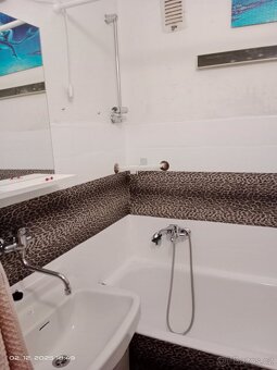 Pronájem bytu 1+1 Kyjov - 4