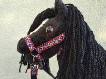 Hobby horse - 4