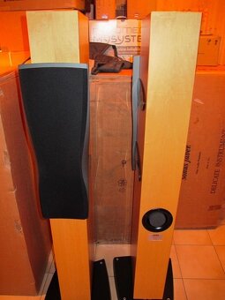 Dynaudio Confidence C2 High End Standlautsprecher v Ahornu - 4