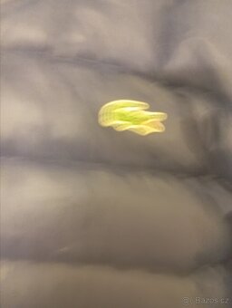 Zimní bunda velmy kvalitni Lacoste vel.56. - 4
