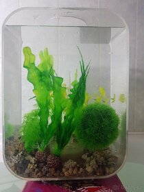 Akvárium BiOrb LIFE průhledné 15l LED
 - 4