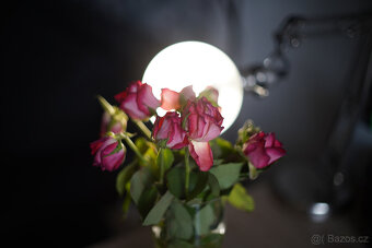 Canon FL 50/1.4 - 4