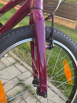 Dětské kolo Specialized Jett 20 - 4