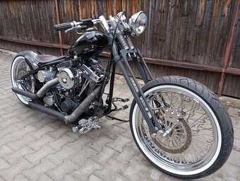Harley Davidson Stavba Big Dog Kraft USA - 4