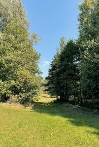 Zahrada na MARINGOTKU v Orlických horách 6838 m² - 4