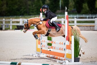 pony A - Vanilka - sen každé princezny - 4