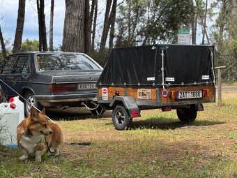 Audi 100 C2 - 4